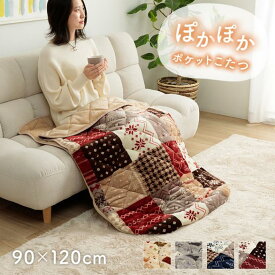寝袋タイプこたつ 90×120 ポケットこたつ布団 こたつ 洗える 洗濯機 掛け布団 敷布団 厚手 セット 1人用 こたつ 毛布 暖房 省エネ 節電 長方形 フランネル 冬 保温 ネイビー レッド モダン 上品 シンプル 大人 おしゃれ ふかふか 丸洗い