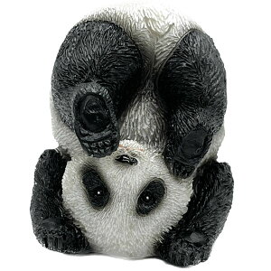 ~jp_ԂiED12193AjbtBMA,l`,panda,ς,ObY,u,,؊X,,`Ci,@ ro1108