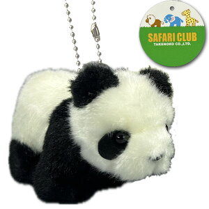 Tt@Nup_ yB/C 63921 z | ʂ,kCO~,l`,ς,{,,؊X,,VV,,Ԃ,G,v[g,Mtg,a@ ro0801