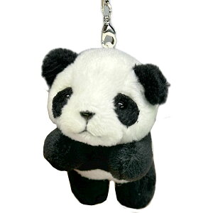 p_Xgbv(38750) bς񂾃ObY,ʂ,Xgbv,,؊X,,VV,,Ԃ,}XRbg,@ro0801