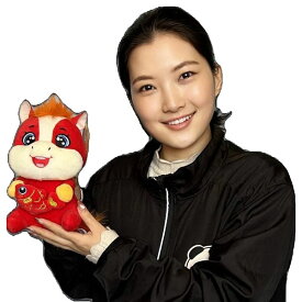 馬年ぬいぐるみ【小】22cm｜新年,馬,干支,ヌイグルミ,午,丙午,チャイナ,グッズ,中国,中華街,雑貨,アイテム,お土産,ギフト,プレゼント,　　 ro1111