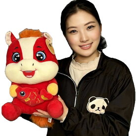 馬年ぬいぐるみ【大】35cm｜新年,馬,干支,ヌイグルミ,午,丙午,チャイナ,グッズ,中国,中華街,雑貨,アイテム,お土産,ギフト,プレゼント,　　 ro0913