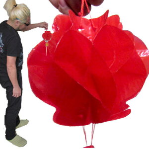 rj[ g ^ 14.5cm(lR|X։) b,`,{,{,vfR,؊X,yY,,g,,܂,rj[,vX`bN,fR[V ro0817