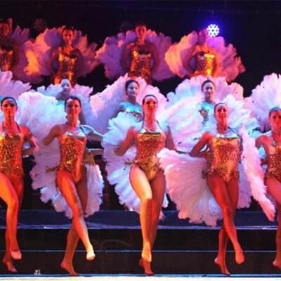 楽天市場 中国扇子 巨大飾り扇子 パンダまん老維新中華街大通り本店