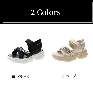 T_ fB[XV[Y T_ JWAT_ T_ y ₷  CX^lC̃_bhV[YT_ r[` AEghA ʋ ʊwɍœK 