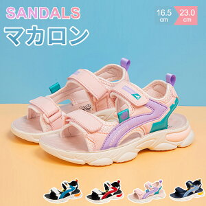 T_ ₷ qC X|[c ̎q ǂ j̎q LbYT_ ɂ xr[ }WbNe[v ʃt@Xi[ X|[cT_ Ԃ 14cm 15cm qT_ bV x