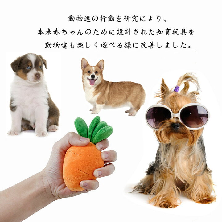 楽天市場 犬 おもちゃ 人参 ペット おもちゃ犬 ペット用品 いぬ 猫 ねこ にんじん畑 犬 おもちゃ ノーズワーク にんじん 収穫 知育玩具 可愛い ぬいぐるみ 人参 正規品 超人気 キノコ 茸狩り トイ 遊び場所 性格改善 運動不足 ストレス解消 犬歯磨き 新作 Round Era