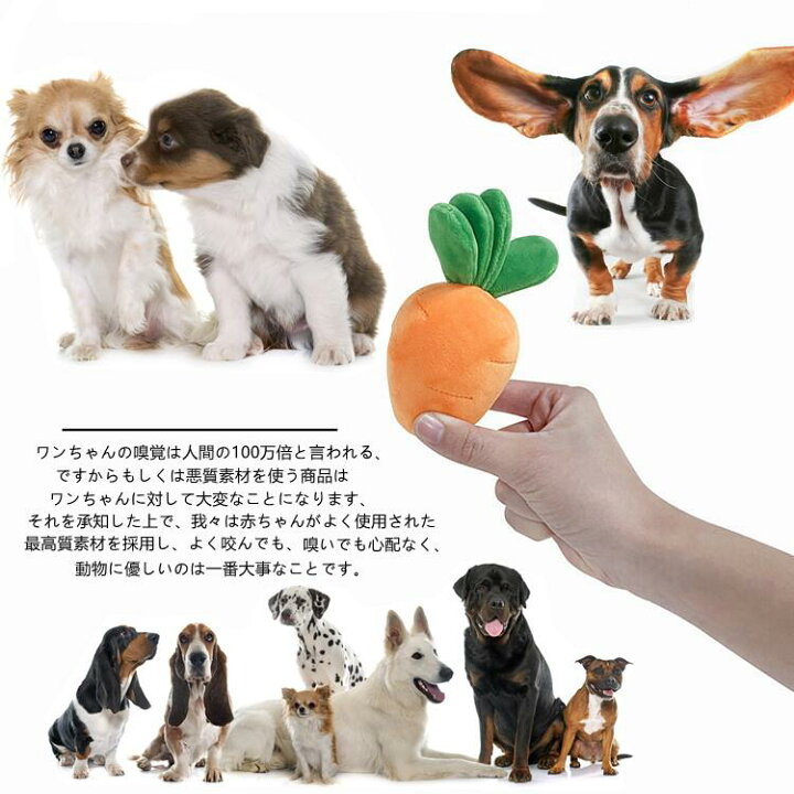 楽天市場 犬 おもちゃ 人参 ペット おもちゃ犬 ペット用品 いぬ 猫 ねこ にんじん畑 犬 おもちゃ ノーズワーク にんじん 収穫 知育玩具 可愛い ぬいぐるみ 人参 正規品 超人気 キノコ 茸狩り トイ 遊び場所 性格改善 運動不足 ストレス解消 犬歯磨き 新作 Round Era