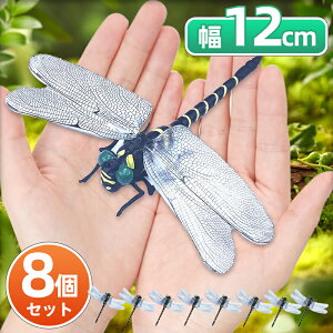 Ij} ɂ  12cm {TCY I悯Ij} ΍ tBMA A x    ͌^ 悯 g{ oR Lv ނ ߕ   Sst Xg