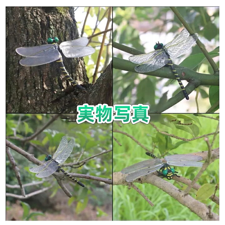 楽天市場】【送料無料】おにやんま君 虫よけ 安全ピン付けタイプ オニヤンマ 虫除け アウトドア 帽子 キャンプ 害虫駆除 寄せ付けない ストラップ 安全ピン 持ち運び 外出先 蚊 ハエ 小バエ アブ ブヨ カメムシ 蜂 羽虫 虫 無害 取り付け 鞄 携帯 忌避 グッズ : ROUND-ERA 楽天市場】【送料無料】おにやんま君 虫よけ 安全ピン付けタイプ オニヤンマ 虫除け アウトドア 帽子 キャンプ 害虫駆除 寄せ付けない ストラップ 安全ピン 持ち運び 外出先 蚊 ハエ 小バエ アブ ブヨ カメムシ 蜂 羽虫 虫 無害 取り付け 鞄 携帯 忌避 グッズ : ROUND-ERA