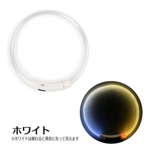 y|Cg10{ z   CgT[N  p J[ ybg LED C{[ Cg Cg [h  _ _ ^ ^ ^ hbN USB[d  U S 