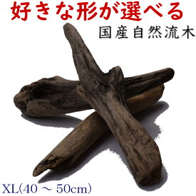 楽天市場 アクアリウム 流木 大の通販