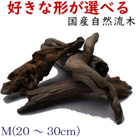 楽天市場 大 流木の通販