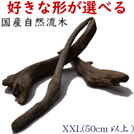 楽天市場 流木 特大の通販