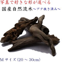 楽天市場】天然流木（インテリア小物・置物｜インテリア・寝具・収納 