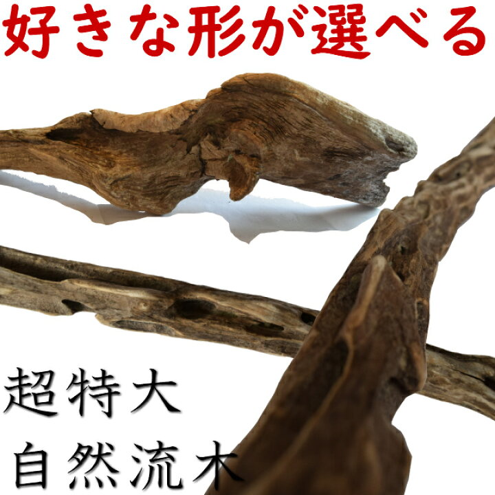 楽天市場 大型 流木 特大 流木 超特大 置物 玄関 木 インテリア 店舗 ディスプレイ ガーデニング 庭 巨大 棒 オブジェ 変形 直線 株 塊 まっすぐ 根っこ 穴あき 天然 自然 木 形が選べる 国産 Diy 水槽 アクアリウム 送料無料 送料込