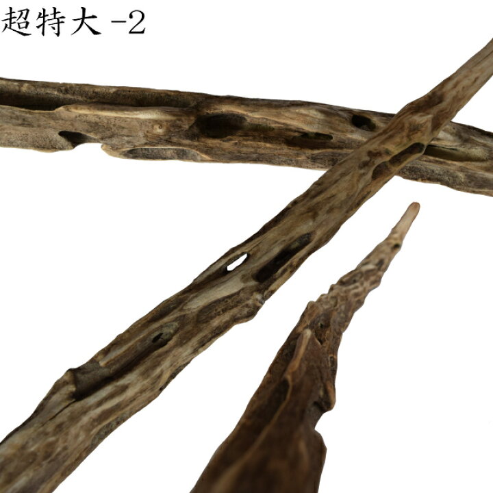 楽天市場 大型 流木 特大 流木 超特大 置物 玄関 木 インテリア 店舗 ディスプレイ ガーデニング 庭 巨大 棒 オブジェ 変形 直線 株 塊 まっすぐ 根っこ 穴あき 天然 自然 木 形が選べる 国産 Diy 水槽 アクアリウム 送料無料 送料込