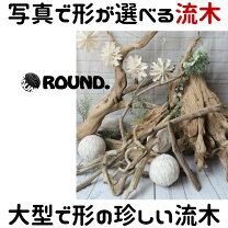 楽天市場】大型流木（インテリア小物・置物｜インテリア・寝具・収納 
