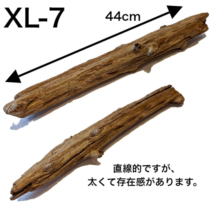楽天市場 10 Off 流木 Xl 大 送料無料 インテリア ディスプレイ 自然 形が選べる 国産 Diy 水槽 直線 株 アクアリウム 店舗 什器 工作 送料込み 工作 アク抜き済 乾燥 大 中 小 S M L 流木 流木 特大 日本産