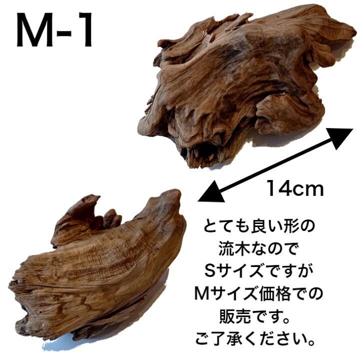 楽天市場 流木 安 Mサイズ 組合せ インテリア 置物 棒 オブジェ 穴あき 天然 株 塊 ディスプレイ 選べる 自然 国産 Diy 水槽 直線 アクアリウム 店舗 什器 送料無料 送料込み 工作 アク抜き済 乾燥 大 中 小 流木 Xl