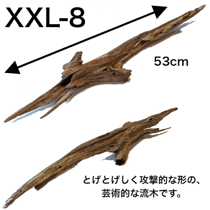 楽天市場 流木 Xxl 特大 インテリア 店舗 ディスプレイ 棒 オブジェ 置物 直線 株 塊 まっすぐ 根っこ 穴あき 天然 自然 木 形が選べる 国産 Diy 工作 水槽 アクアリウム 送料無料 送料込 工作 アク抜き済 什器 乾燥 大 中
