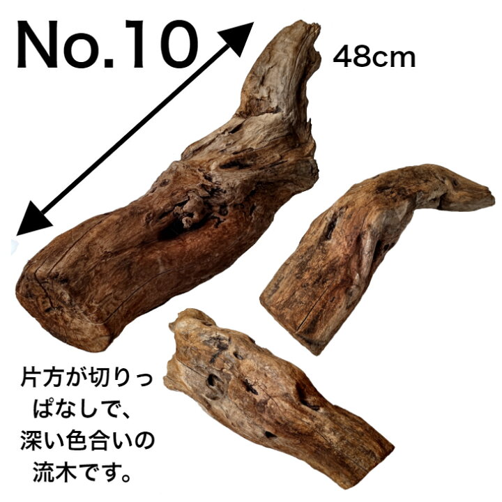 楽天市場】変形 レア 流木/大型 特大 流木 置物 玄関 木 インテリア  