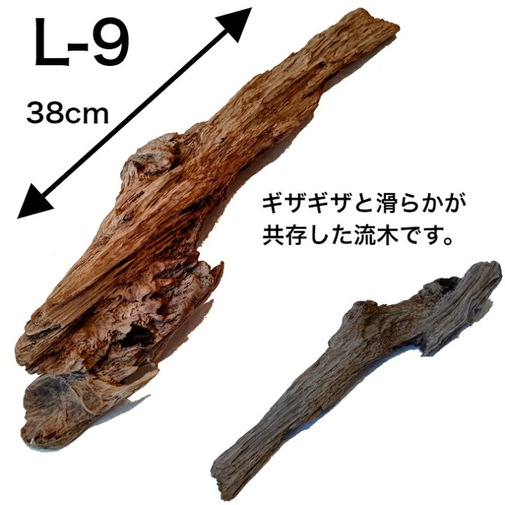 楽天市場 流木 L 大 送料無料 天然流木 形が選べる 流木 ディスプレイ 自然 国産 Diy 水槽 インテリア 直線 株 塊 アクアリウム 店舗 什器 送料込み 流木 アク抜き済 乾燥 大 中 小 S 流木 特大 日本産 曲 まっすぐ