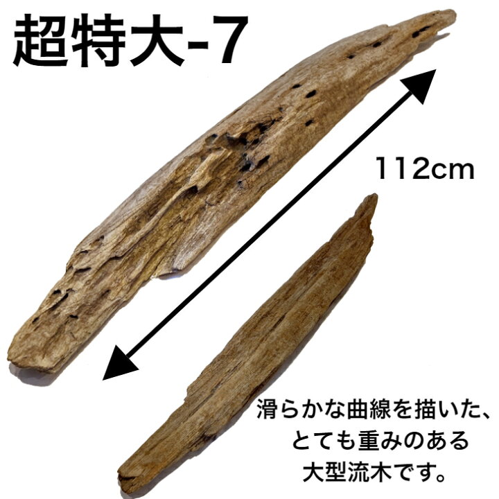 楽天市場】大型 流木/特大 流木 超特大 置物 玄関 木 インテリア 店舗  