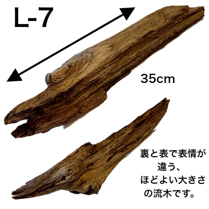 流木 特大 桧 ヒノキ インテリア 人気大割引