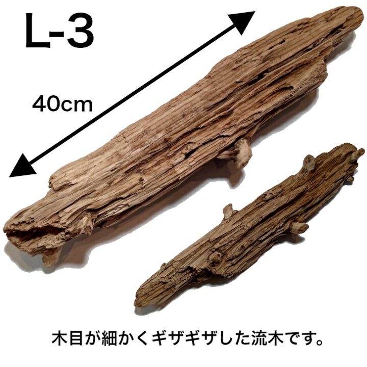 楽天市場 10 Off 流木 L 大 送料無料 天然流木 形が選べる 流木 ディスプレイ 自然 国産 Diy 水槽 インテリア 直線 株 塊 アクアリウム 店舗 什器 送料込み 流木 アク抜き済 乾燥 大 中 小 S 流木 特大 日本産 曲