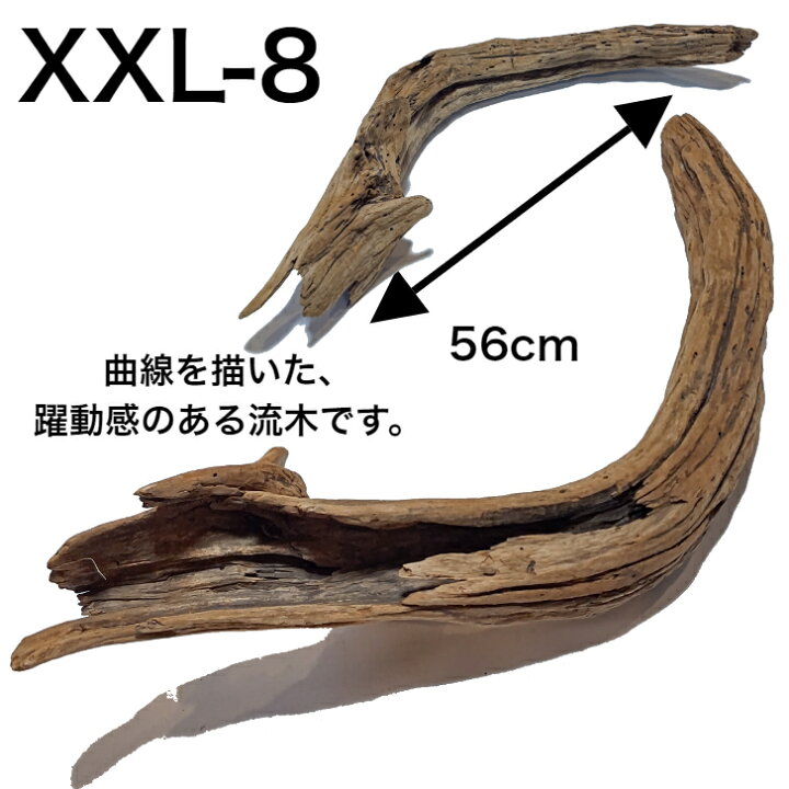 楽天市場 流木 Xxl 特大 インテリア 店舗 ディスプレイ 棒 オブジェ 置物 直線 株 塊 まっすぐ 根っこ 穴あき 天然 自然 木 形が選べる 国産 Diy 工作 水槽 アクアリウム 送料無料 送料込 工作 アク抜き済 什器 乾燥 大 中