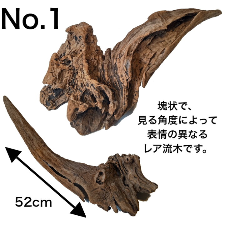 楽天市場】変形 レア 流木/大型 特大 流木 置物 玄関 木 インテリア  