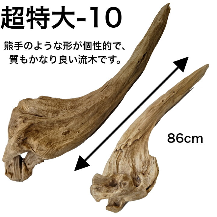 楽天市場】大型 流木/特大 流木 超特大 置物 玄関 木 インテリア 店舗 