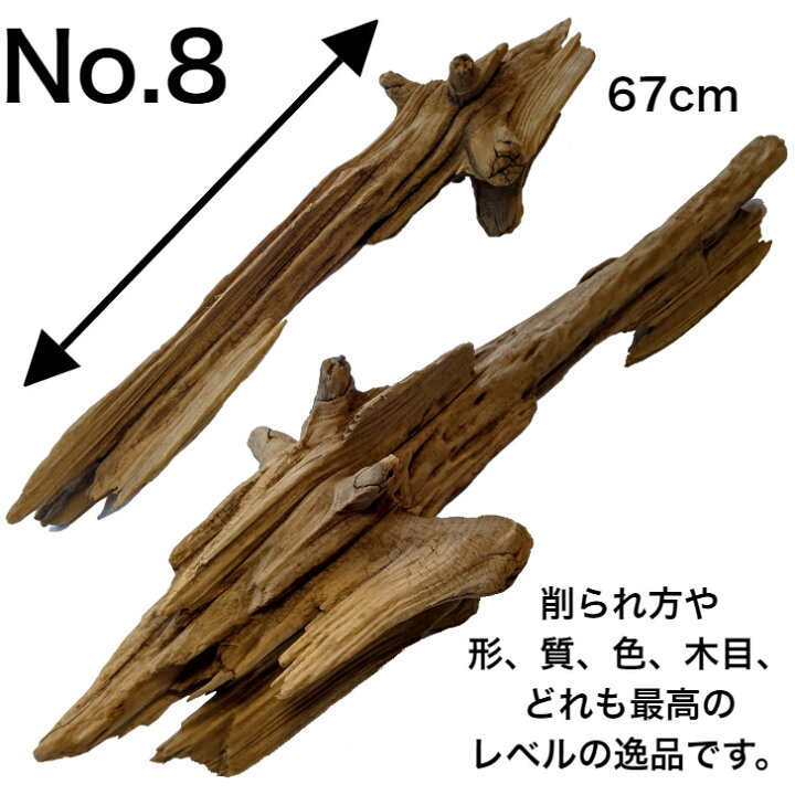 楽天市場】変形 レア 流木/大型 特大 流木 置物 玄関 木 インテリア  