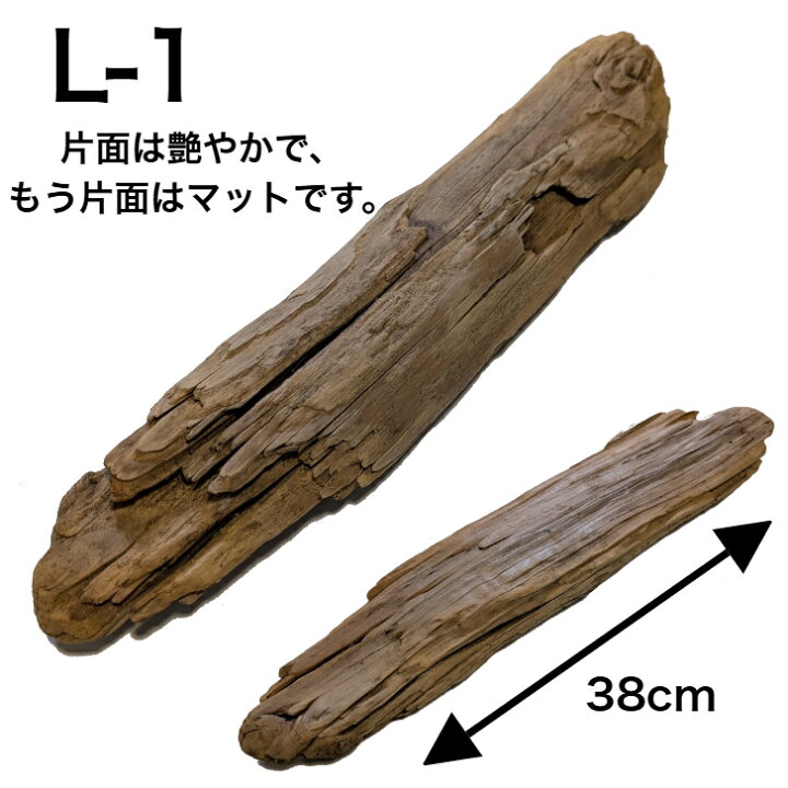 送料無料】北海道産流木！！