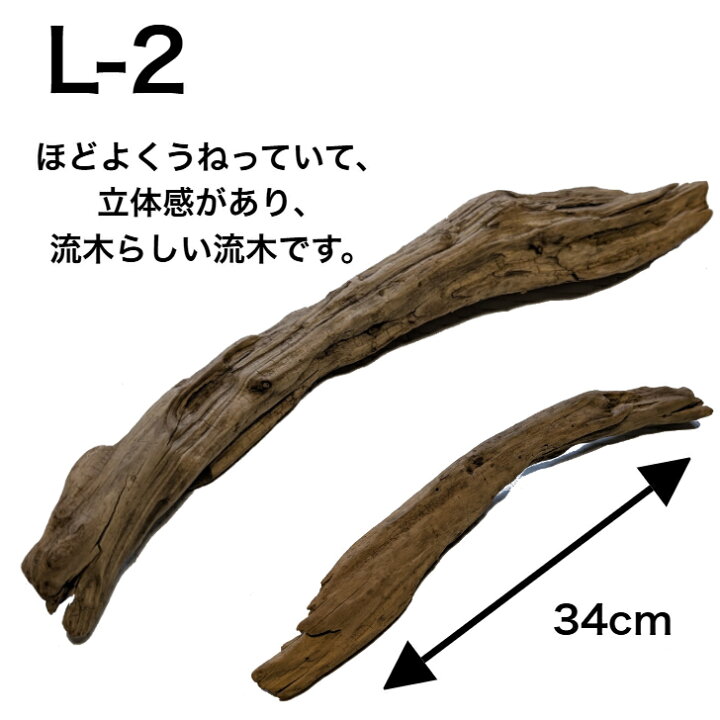 楽天市場】流木 L 大 送料無料 天然流木 形が選べる 流木 ディスプレイ 