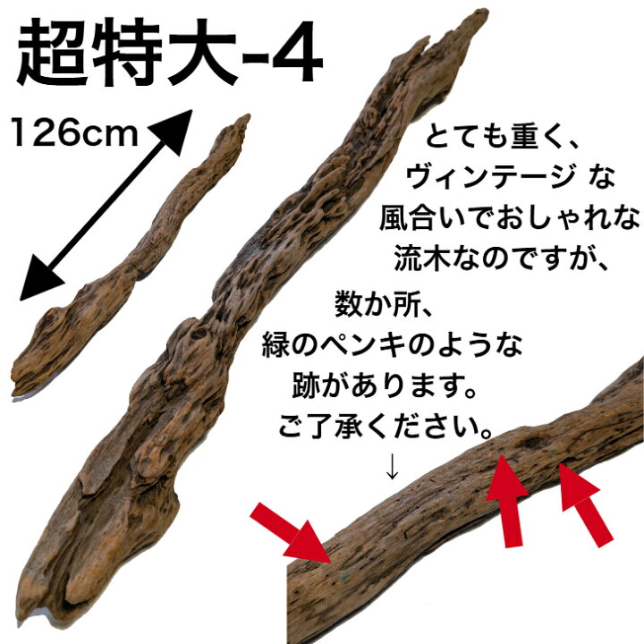 楽天市場】大型 流木/特大 流木 超特大 置物 玄関 木 インテリア 店舗  
