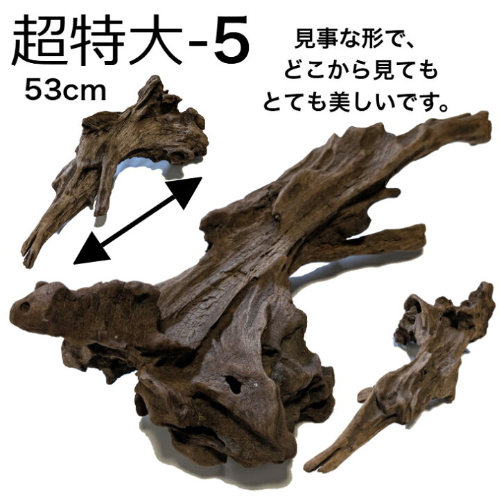 楽天市場】大型 流木/特大 流木 超特大 置物 玄関 木 インテリア 店舗 