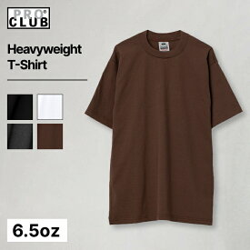 プロクラブ 半袖Tシャツ 2枚セットメンズ レディース ユニセックス ブラウン 無地 シンプル PROCLUB101 厚手 アメカジ インポート ストリート カジュアル 涼しい