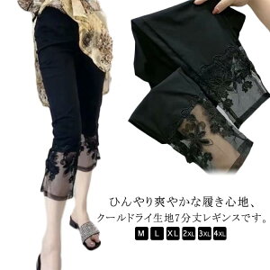 fB[X Xpbc ^Cc EGXgS {gX ԕ Xgb` [X 7䃌[XMX V[X[ ԕ[X    ėp t  ڐG⊴ z hCXL