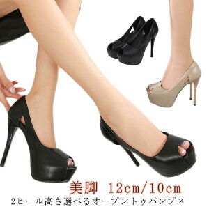 I[vgDpvX nCq[ q[12cm/10cm |CebhgD r ₷ EFfBO tďH pvX Loq[ p[eB[ C ZNV[ sq[ 񎟉 tH[} 