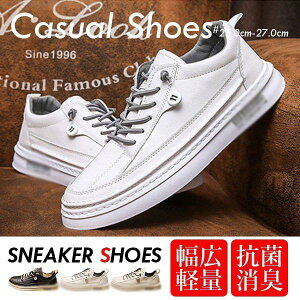 fbL JWA Xj[J[  [Jbg Ȃ ʊw   ʋ fbL ̓ L 3e Y Sn RۏL  ^]C