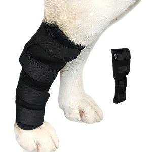 V[gT|[^[ G T|[^[ ֐ߕی p㌢p ֐߃veN^[  ybgp PApi ܎Á@V pi 