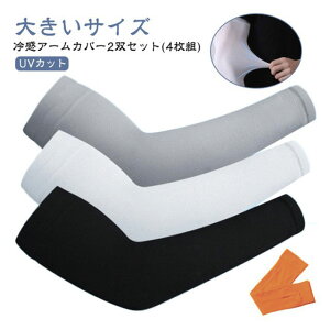 X|[c n 傫TCY A[ Y fB[X A[Jo[ A[X[u 2oZbg(4g) St ^]  ] UV rJo[ ^gD[B Jo[ UVJbg ⊴A[J