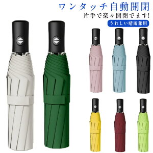 J ܂肽 P Ռ P Y JP y P jp uvJbg fB[X Ă΍ Jp 8{ ՔM O΍ ݂₷ vbV y ^b` 肽