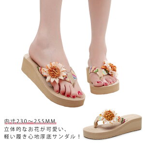 T_ fB[X gOT_ ؂ s[X y r[`T_ RtH[gT_ T_ r 傫TCY   l ][g s tbg v[ 