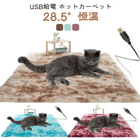 ヒーターマット ホットマット ホットカーペット ホットカーペット 電熱マット 省エネ 電気ヒーター 電気毛布 フランネル ペットベッド ペットマット ぽかぽか ペット用 加熱パッド USB給電 防寒 寒さ対策 あったか 洗える ペット 犬用品 猫用品 犬