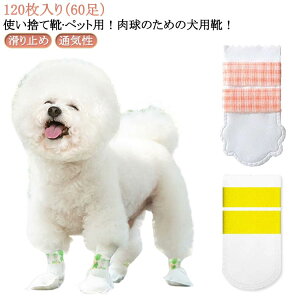 C _炩 pC 60 ybg y120z pC Lp ی C ʋC sDz ~ y ̉h~ y120z hbOu[c tbgJo[ C Jo[ p g