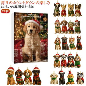 2025 ̃NX}Xi ̑  2026 AN 24 24 2d NX}X ̃y_gAhxgJ_[c[ JEg_E 킢  I[ig Zbg J_[ 