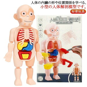 pY   p[cO\ pY  Uw  qǂ  gݗ l̉Uwf  X^h mߋ a q v[g Mtg l̖͌^ Lb